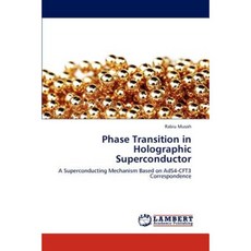 Phase Transition in Holographic Superconductor Paperback, LAP Lambert Academic Publishing