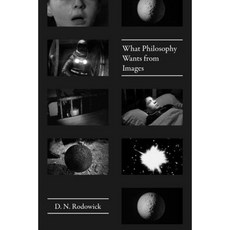 What Philosophy Wants from Images Paperback, University of Chicago Press