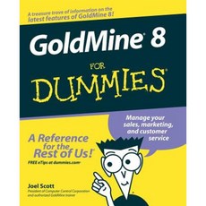 Goldmine 8 for Dummies 平裝版