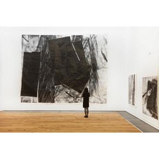 Zheng Chongbin: Impulse Matter Form Hardcover, Ink Studio