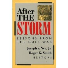 After the Storm: Lessons from the Gulf War Paperback, Madison Books