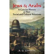 Jews and Arabs: A Concise History of Their Social and Cultural Relations Paperback, Dover Publications