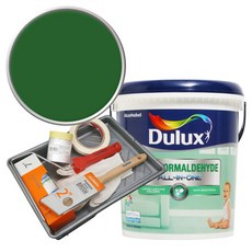듀럭스 안티 포름알데히드 올인원 페인트 세트, Wreath of Green, 3L, 1개