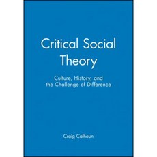 Critical Social Theory: Culture History and the Challenge of Difference Paperback, Wiley-Blackwell