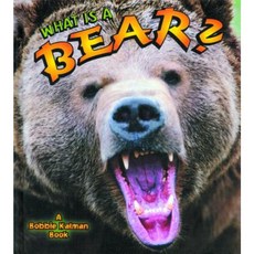 What Is a Bear? Library Binding, Crabtree Publishing Company