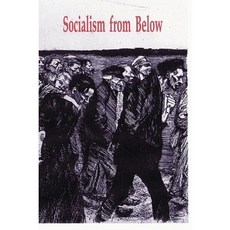 Socialism from Below Paperback, Center for Socialist History