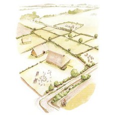 The Rural Settlement of Roman Britain: New Visions of the Countryside of Roman Britain Volume 1 Paperback, Roman Society Publications