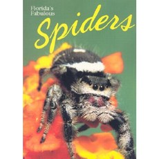 Florida's Fabulous Spiders Paperback, World Publications (FL) DBA National Art Serv