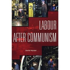Labour After Soviet Socialism: Autoworkers and Their Unions in Russia Ukraine and Belarus Paperback, Black Rose Books