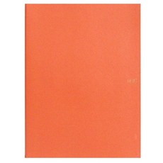 펠리즈 칼라 클리어 파일 20매, 오렌지, 1개
