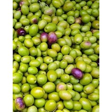 Olives Notebook: With 150 Lined Pages Paperback, Createspace Independent Publishing Platform