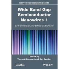 Wide Band Gap Semiconductor Nanowires 1: Low-Dimensionality Effects and Growth Hardcover, Wiley-Iste