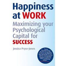 Happiness at Work: Maximizing Your Psychological Capital for Success Paperback, Wiley