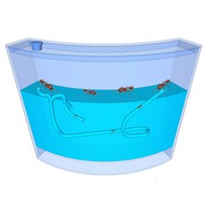 3D蟻巢生物觀察產品