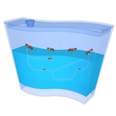 향앤미과학 STEAM 사이언스 3차원 개미집 관찰용품 중, 1개