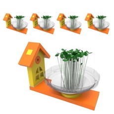 향앤미과학 STEAM 사이언스 EVA 새싹 정원 만들기 실험세트 일반형, 5개입