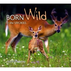 Born Wild in the Smokies Paperback, Farcountry Press