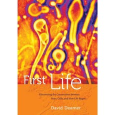 First Life: Discovering the Connections Between Stars Planets and How Life Began Hardcover, University of California Press