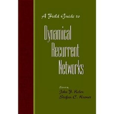 A Field Guide to Dynamical Recurrent Networks Hardcover, Wiley-IEEE Press