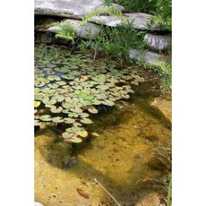 Pond Design and Construction Notebook Paperback, Createspace Independent Publishing Platform
