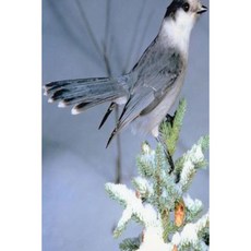 Journal Wild Bird Winter Tree: (Notebook Diary Blank Book) Paperback, Createspace Independent Publishing Platform