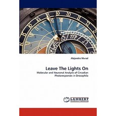 Leave the Lights on Paperback, LAP Lambert Academic Publishing