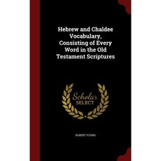 Hebrew and Chaldee Vocabulary Consisting of Every Word in the Old Testament Scriptures Hardcover, Andesite Press
