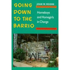 Going Down to the Barrio PB: Homeboys and Homegirls in Change Paperback, Temple University Press