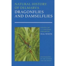 Natural History of Delmarva Dragonflies and Damselflies: Essays of a Lifelong Observer Paperback, Delaware Nature Society