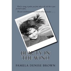Beauty in the Wind Paperback, Pamelainthelight Publications/Books Speak for
