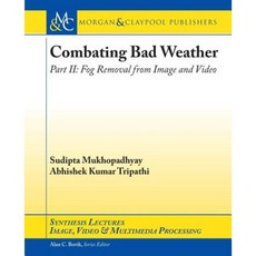 對抗惡劣天氣第二部分：平裝影像和視訊除霧, 摩根克萊普爾