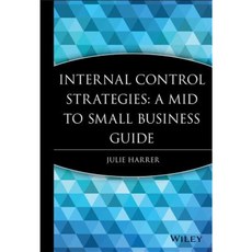 Internal Control Strategies: A Mid to Small Business Guide 精裝版, Wiley