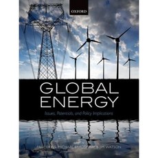 Global Energy: Issues Potentials and Policy Implications Hardcover, Oxford University Press, USA