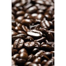 The Coffee: Alphabetical Address Book for Record Internet Address and Password Logbook Paperback, Createspace Independent Publishing Platform