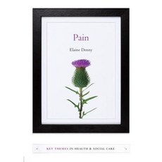 Pain: A Sociological Introduction Paperback, Polity Press