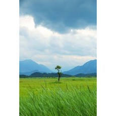 巴伐利亞自然保護區雜誌：150 頁內襯筆記本/日記平裝本, Createspace獨立發布平台