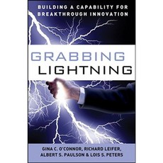 Grabbing Lightning: Building a Capability for Breakthrough Innovation 精裝版, Jossey-Bass