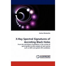 吸積黑洞的 X 射線光譜特徵平裝本, LAP 蘭伯特學術出版社