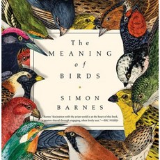 The Meaning of Birds Hardcover, Pegasus Books