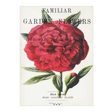 Familiar Garden Flowers: Double Peony: Decorative Notebook+journal (8.5 X 11) Paperback, Createspace Independent Publishing Platform