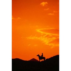 Equine Journal Orange Sunset Cowboy Silhouette: (Notebook Diary Blank Book) Paperback, Createspace Independent Publishing Platform