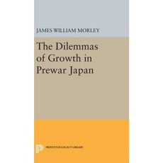 戰前日本精裝版的成長困境, 普林斯頓大學出版社
