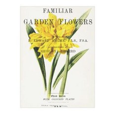 Familiar Garden Flowers: Double Trumpet Daffodil: Decorative Notebook+journal (8.5 X 11) Paperback, Createspace Independent Publishing Platform