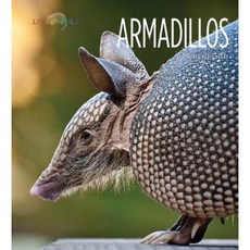 Armadillos Hardcover, Creative Education/Creative Paperbacks