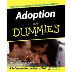 Adoption for Dummies 平裝版