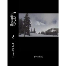 Beautiful World II Paperback, Createspace Independent Publishing Platform