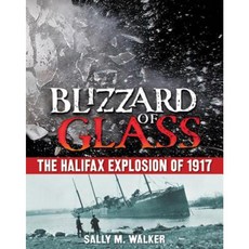 Blizzard of Glass: The Halifax Explosion of 1917 Hardcover, Henry Holt & Company