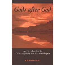 Gods After God: An Introduction to Contemporary Radical Theologies Hardcover, State University of New York Press