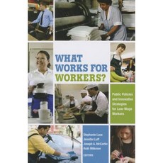 What Works for Workers?: Public Policies and Innovative Strategies for Low-Wage Workers Paperback, Russell Sage Foundation