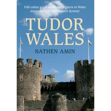 Tudor Wales: Full-Colour Guide to the Many Places in Wales Associated with This Famous Dynasty Paperback, Amberley Publishing